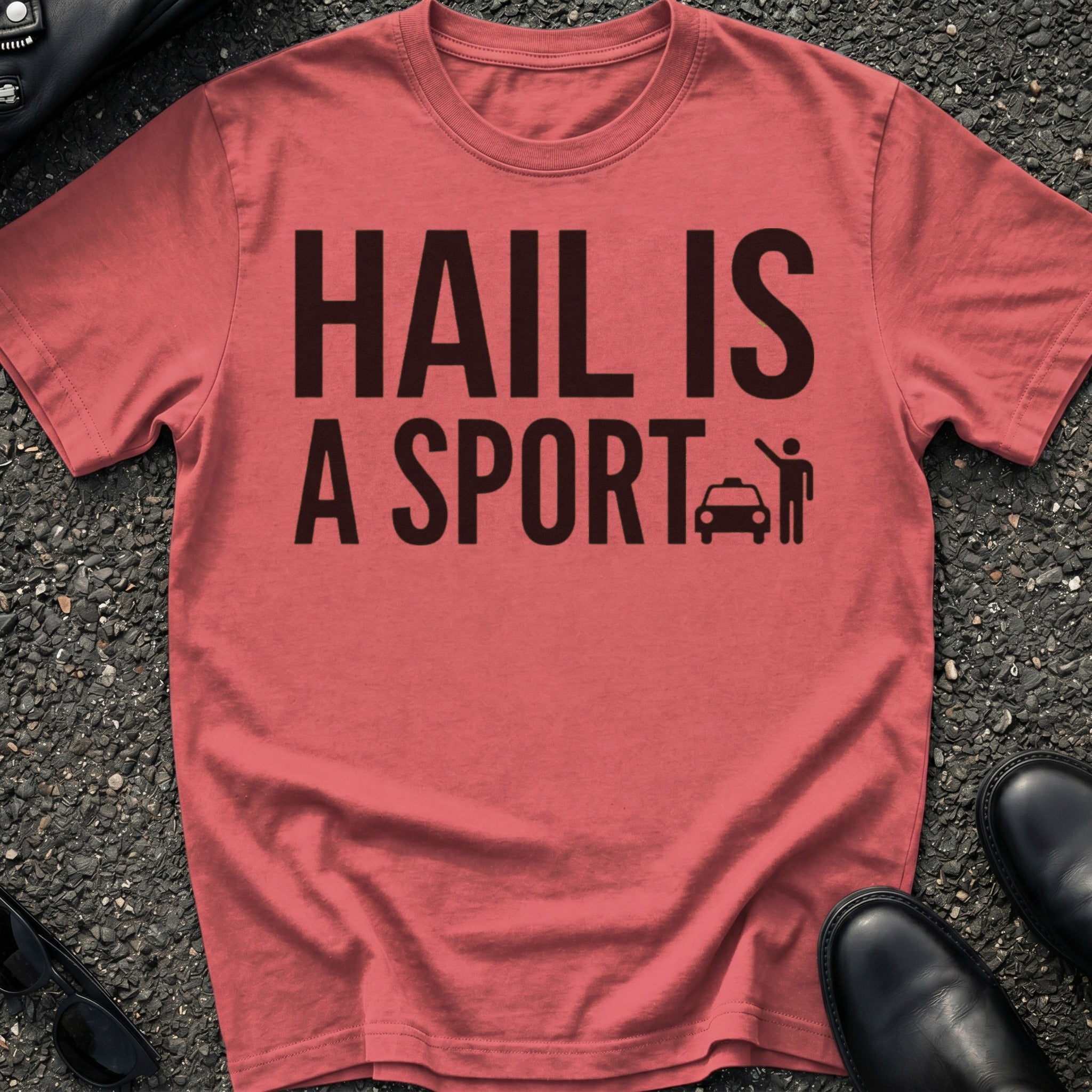 Hail Is A Sport T-Shirt