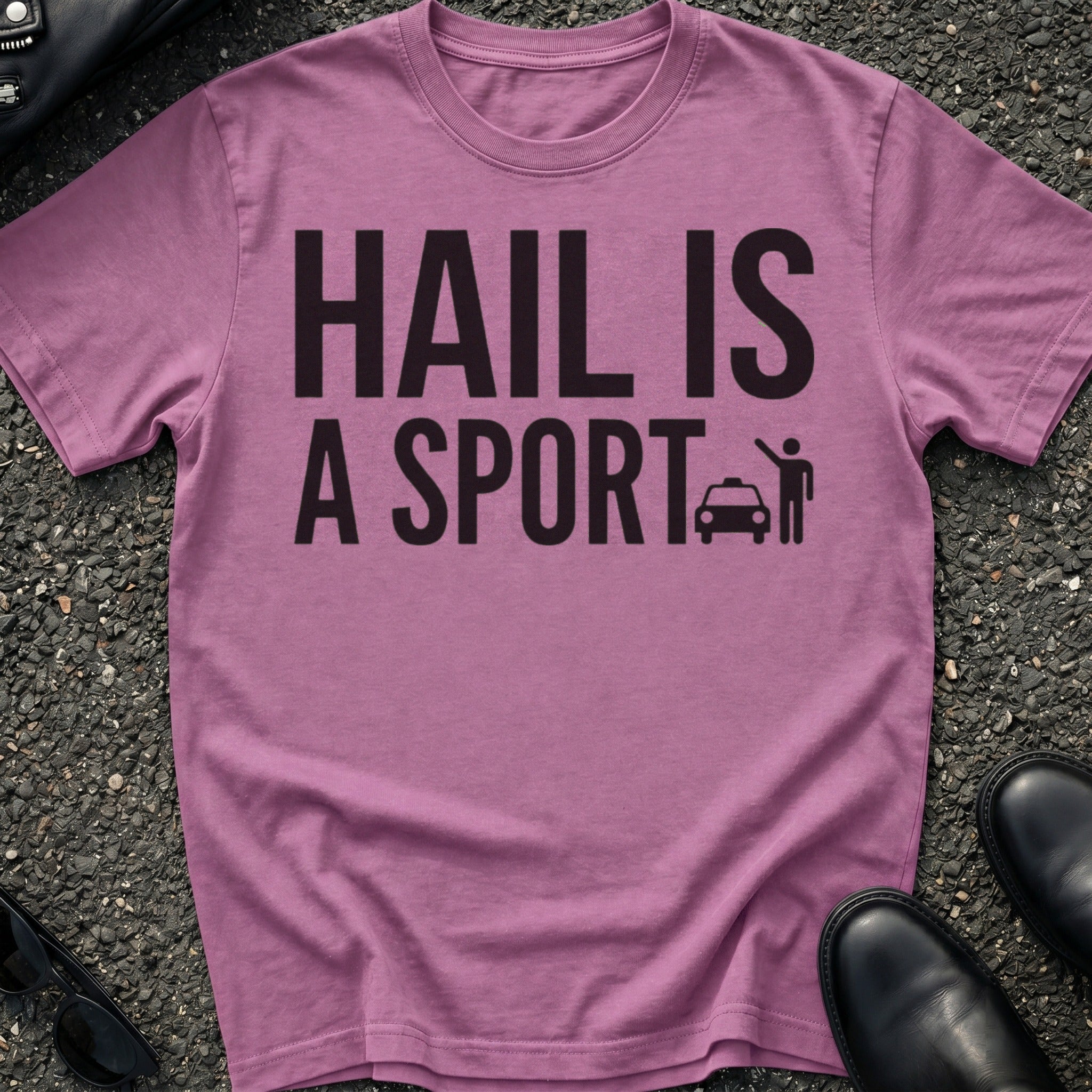 Hail Is A Sport T-Shirt